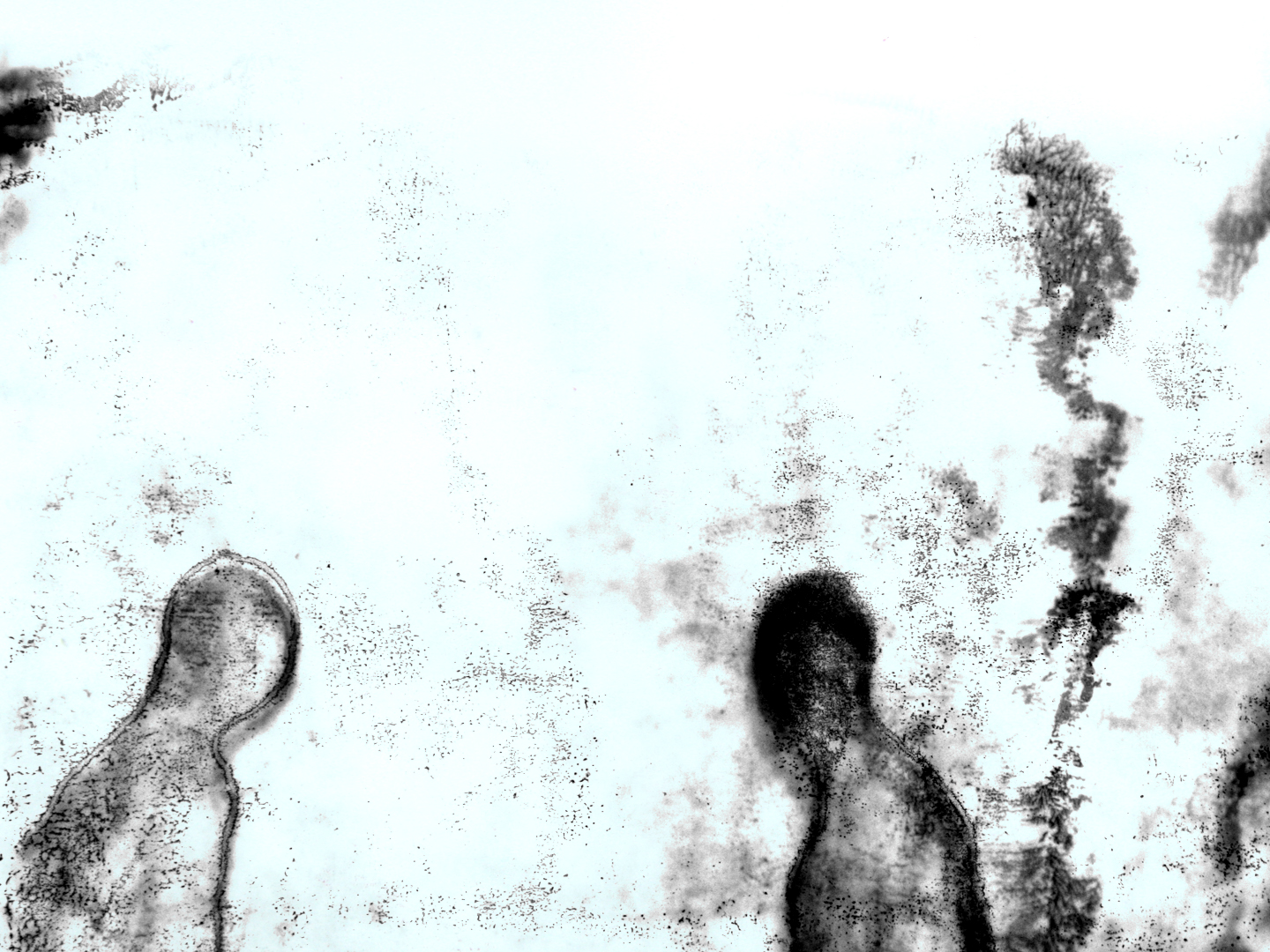 elephantinahaystack3