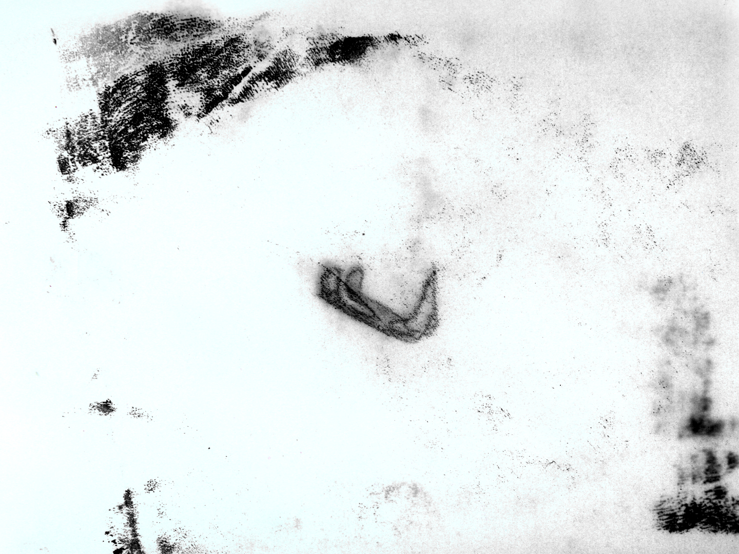 elephantinahaystack4