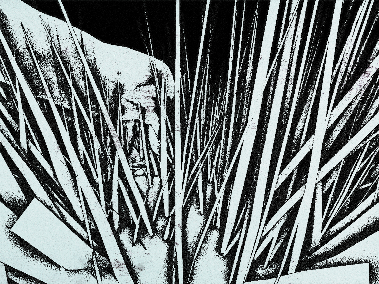 elephantinahaystack7