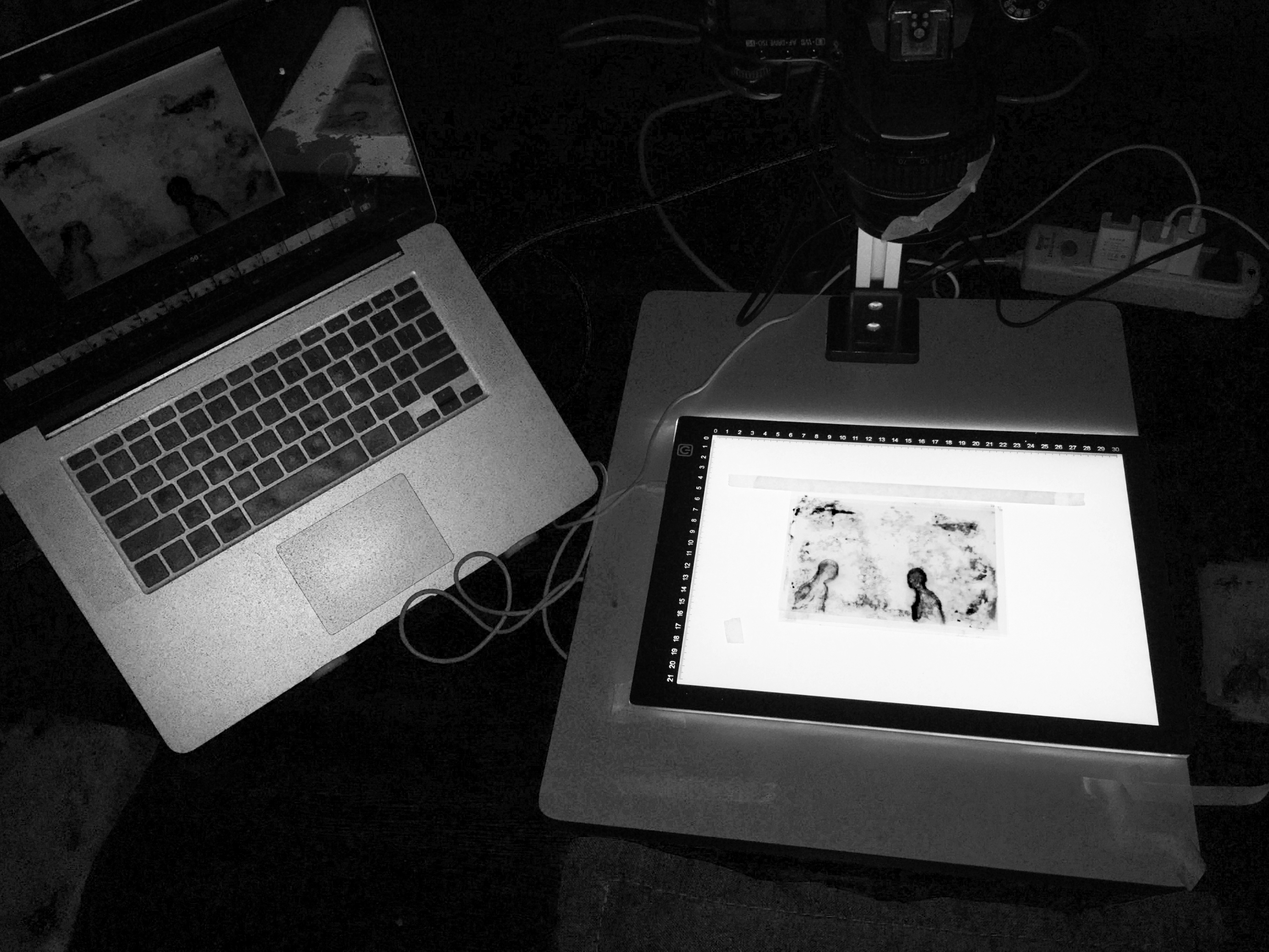 elephantinahaystack8